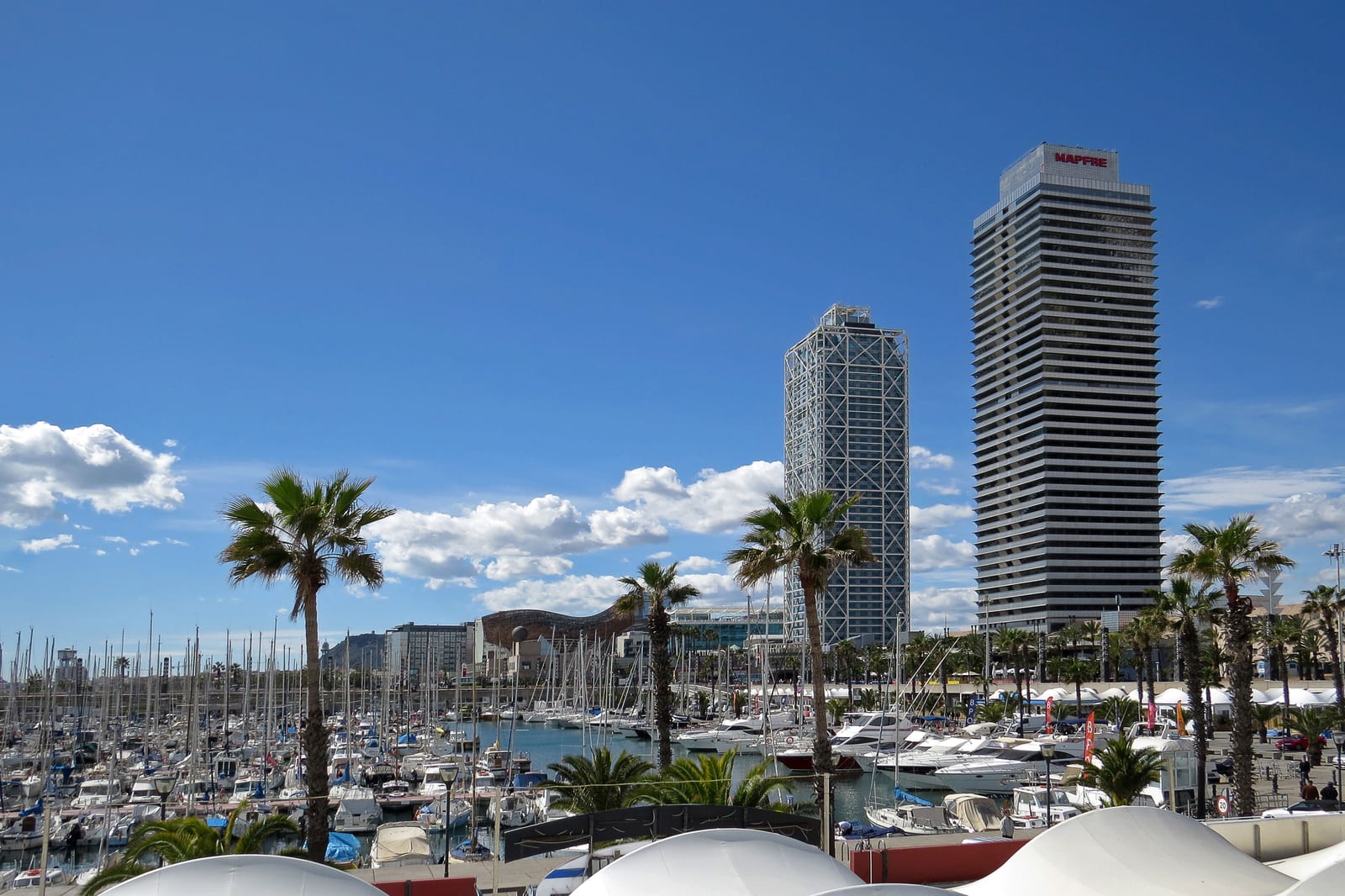 Vue sur les tours jumelles du Port Olympique de Barcelone, avec des palmiers et le port de plaisance au premier plan
